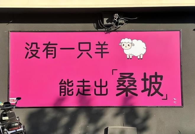宝莉只要60元棉鞋卖断货代购赚得盆满钵满j9九游会真人第一品牌桑坡村有多便宜巴(图3)
